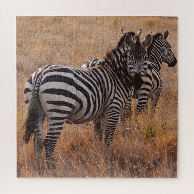 Wild Zebra auf afrikanisch Schlicht (Vertikal)