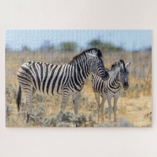 Wild Zebra Mutter & Baby Nature Safari
