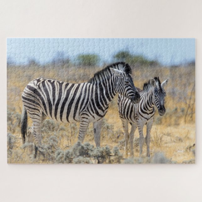 Wild Zebra Mutter & Baby Nature Safari (Horizontal)