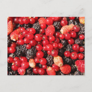Wildbeeren-Postkarte Postkarte