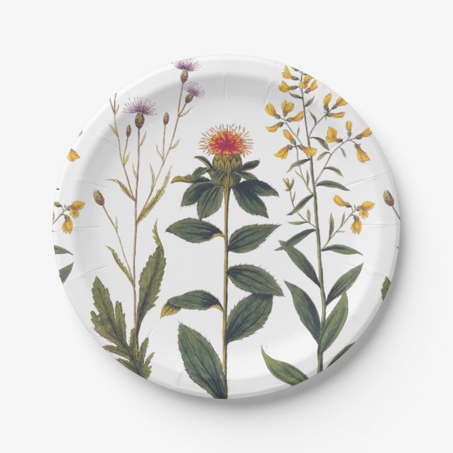 Wildblume Antique Elegante Vintage Natur Pappteller (Vorderseite)