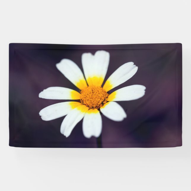 Wildblume Banner (Horizontal)