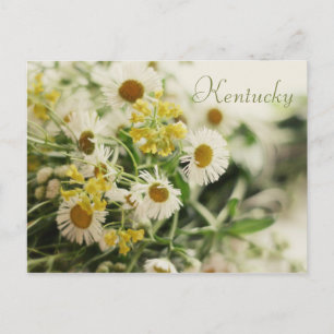 Wildblume Bouquet von JerseyFawn Postkarte