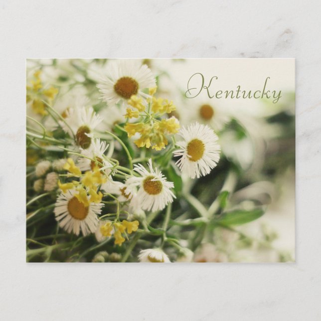 Wildblume Bouquet von JerseyFawn Postkarte (Vorderseite)