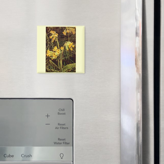 Wildblume: Cowslip Magnet (In Situ (Kühlschrank))