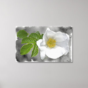 Wildblume der Rose White Beach Leinwanddruck
