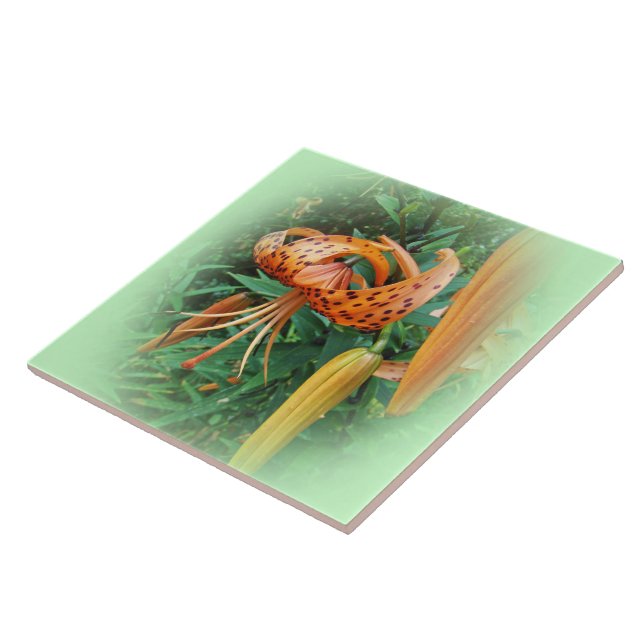 Wildblume der Turk Cap Lily - Links konfrontiert Fliese (Seite)