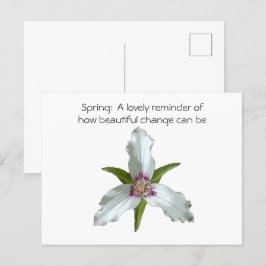 Wildblume des Trillium-Frühlings Postkarte