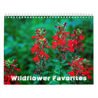 Wildblume Favoriten #1 Kalender