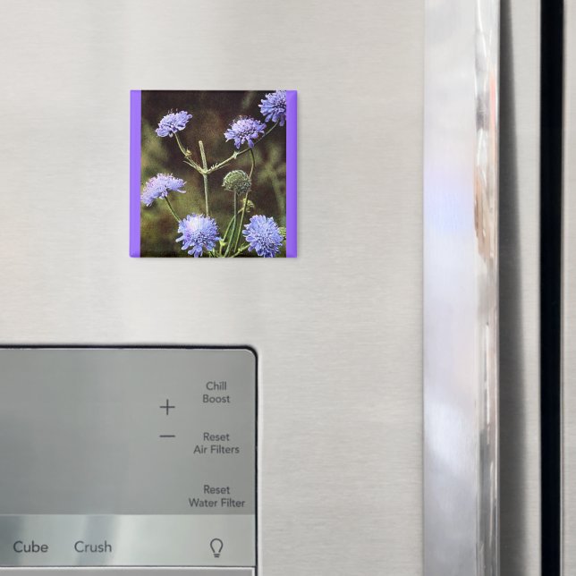 Wildblume: Feldwissenschaft Magnet (In Situ (Kühlschrank))