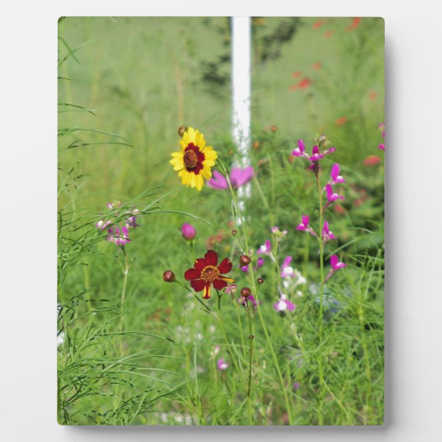 Wildblume Fotoplatte (Vorderseite)