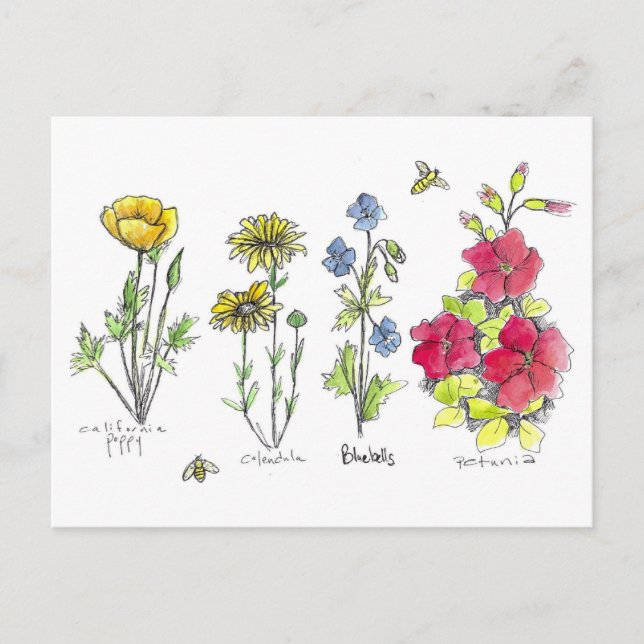 Wildblume Garden Botanische Aquädukte im Tessin Postkarte (Vorderseite)