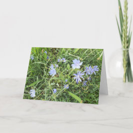 Wildblume geklappt Grußkarte Karte