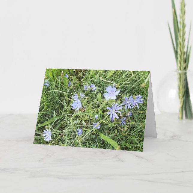 Wildblume geklappt Grußkarte Karte (Vorderseite)