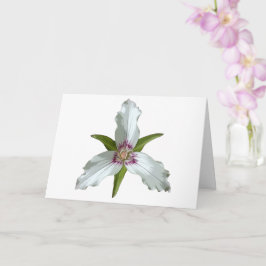 Wildblume-Grußkarte für die bemalten Trillium-Früh Karte