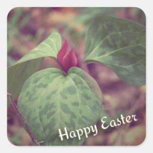 Wildblume Happy Oaster Quadratischer Aufkleber
