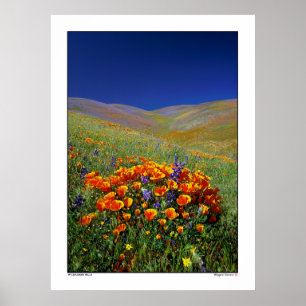 Wildblume Hills Poster