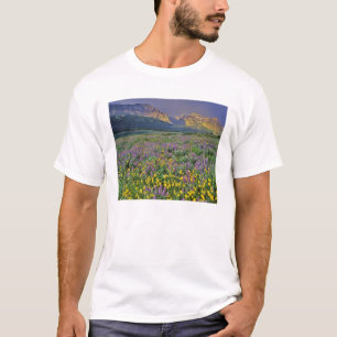 Wildblume im Gletscher Viele T-Shirt