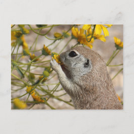 Wildblume-Imbiss-Postkarte Postkarte