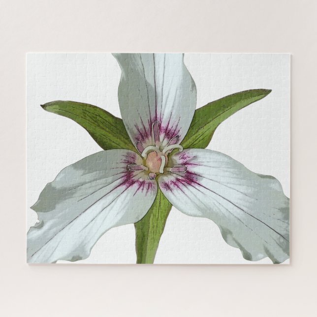 Wildblume Jigsaw Puzzle von Trillium Spring (Horizontal)