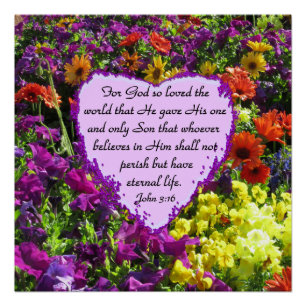 WILDBLUME JOHN 3:16 FOTO POSTER