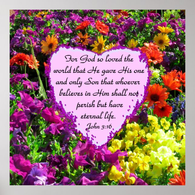 WILDBLUME JOHN 3:16 FOTO POSTER (Vorne)