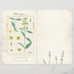 Wildblume-Junk-Journal-Seite vorne/hinten Vintag