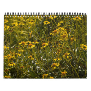 Wildblume - Kalender 2013