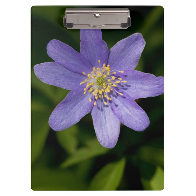 Wildblume Klemmbrett (Vorderseite)