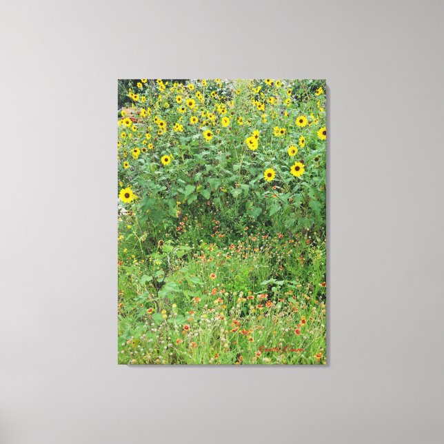 Wildblume Leinwanddruck (Vorderseite)