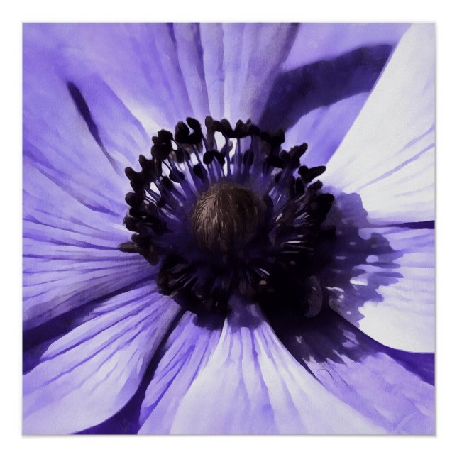 Wildblume Lilac Blue Anemone Poster (Vorderseite)