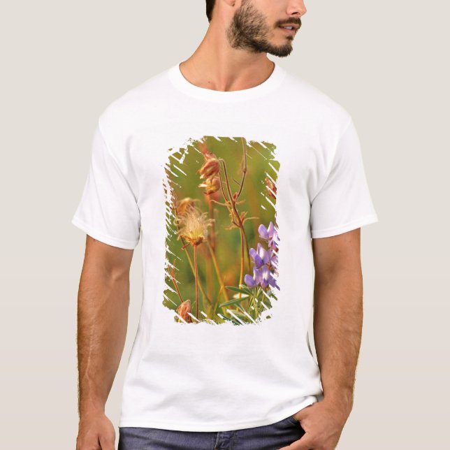 Wildblume Lupine & Prairie T-Shirt (Vorderseite)