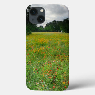 Wildblume Meadow - Butler Trail - Austin Texas title_seo2