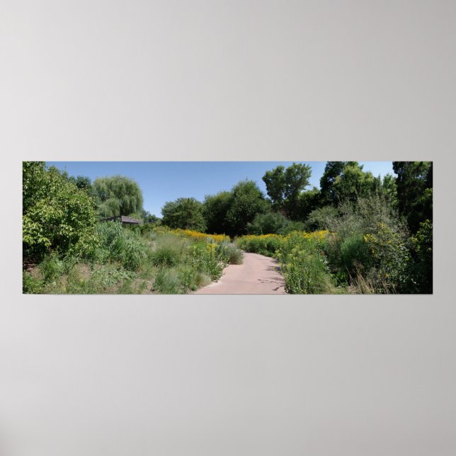 Wildblume Meadow Poster (Vorne)