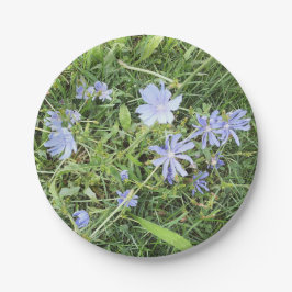 Wildblume Pappteller