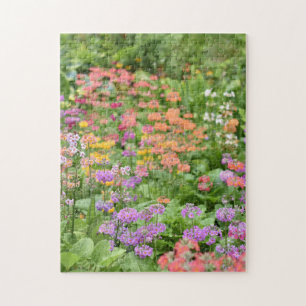 Wildblume Patchblumengarten Naturfotografie