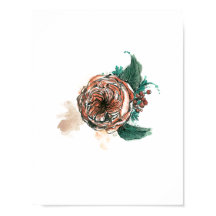 Wildblume: Peony