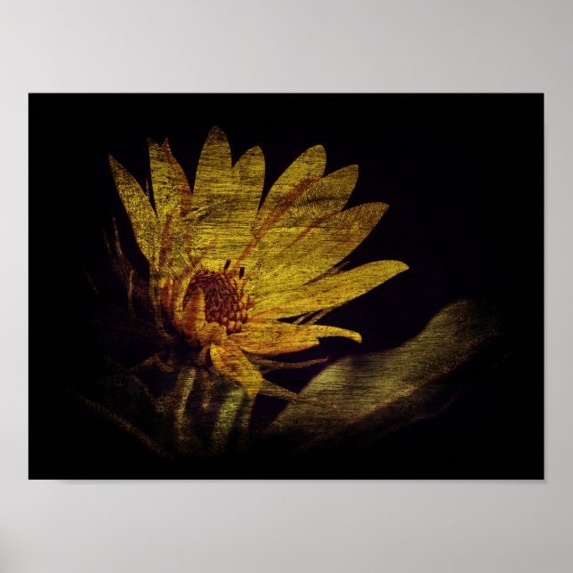 Wildblume Poster (Vorne)
