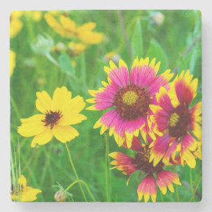 Wildblume Prairie Steinuntersetzer