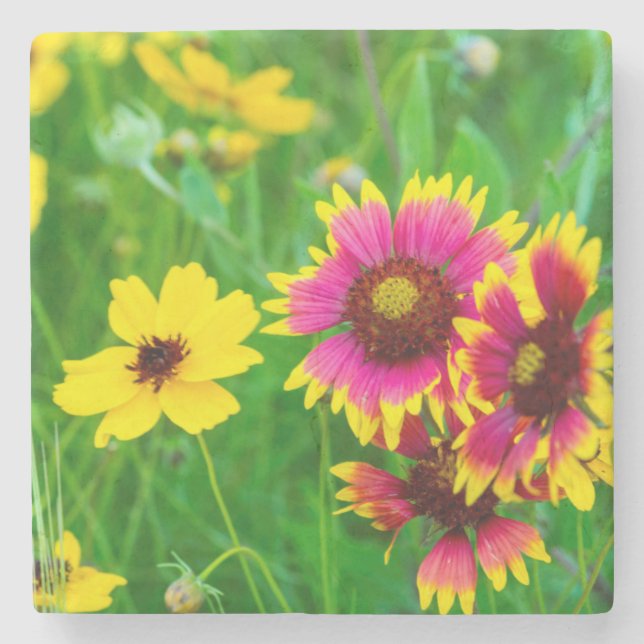 Wildblume Prairie Steinuntersetzer (Vorderseite)