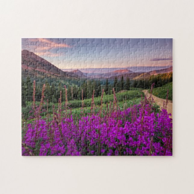 Wildblume-Sonnenaufgang| Butte mit Haube, Colorado (Horizontal)
