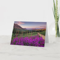 Wildblume-Sonnenaufgang| Butte mit Haube, Colorado
