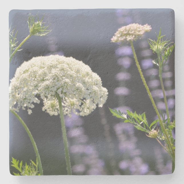 Wildblume Steinuntersetzer (Vorderseite)