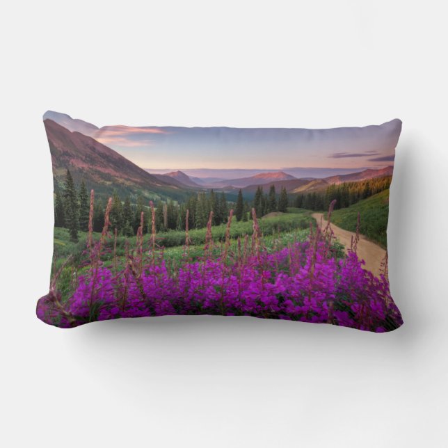 Wildblume Sunrise | Crested Butte, Colorado Lendenkissen (Vorderseite)