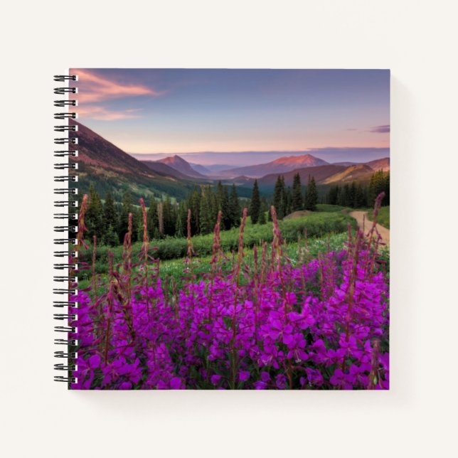 Wildblume Sunrise | Crested Butte, Colorado Notizbuch (Vorderseite)