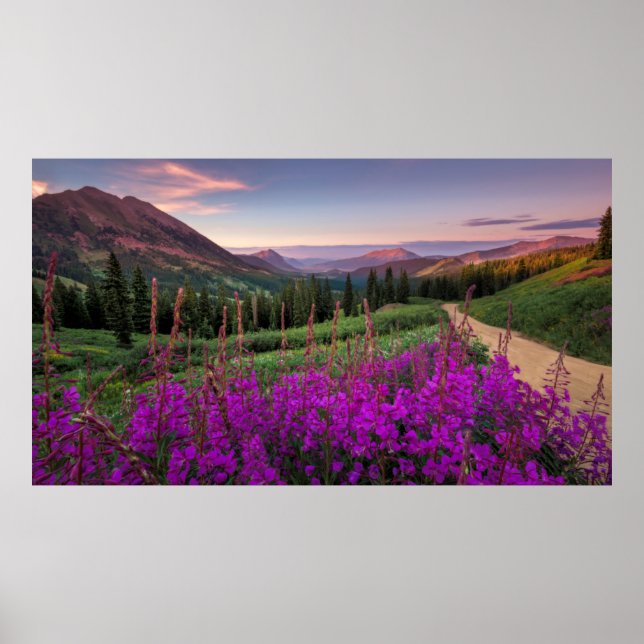 Wildblume Sunrise | Crested Butte, Colorado Poster (Vorne)