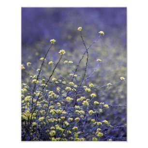 Wildblume-Tanz Fotodruck