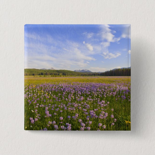 Wildblume von Penstemon im 2. Button (Vorderseite)