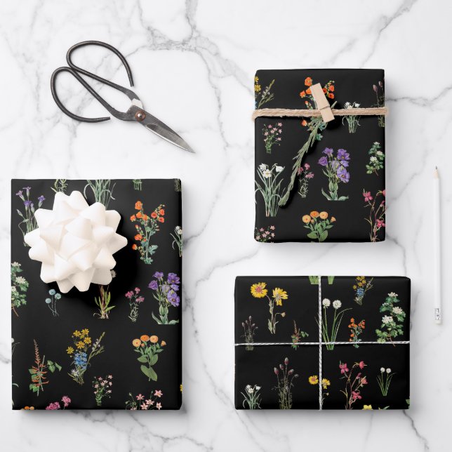 Wildblume Wasserfarbe Schwarzer Botanischer Flor Geschenkpapier Set (Vorderseite)