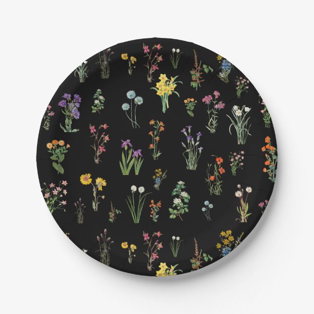 Wildblume Wasserfarbe Schwarzer Botanischer Flor Pappteller (Vorderseite)